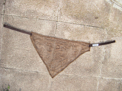 Triangle Bandana